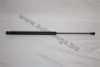 AUTOMEGA 3182705501J6 Gas Spring, boot-/cargo area